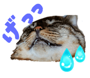 845369410