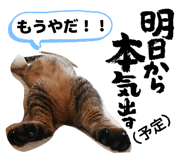 845369436