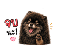 845369588