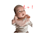 845369651