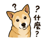 845370021