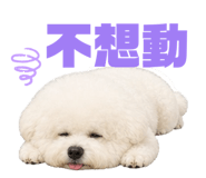 845371939