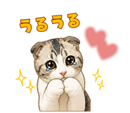 845372012