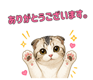 845372016