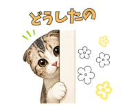 845372019