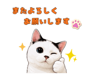 845372021