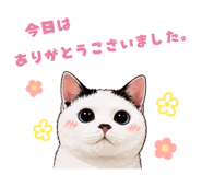 845372022