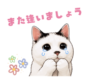 845372024