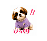 845373843