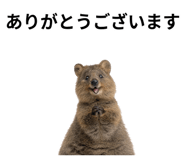 845374179
