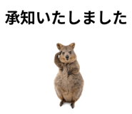 845374181