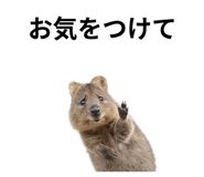 845374184