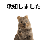 845374186
