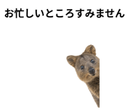 845374187