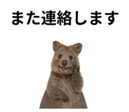 845374189