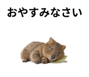 845374191