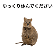 845374195