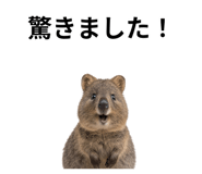 845374196