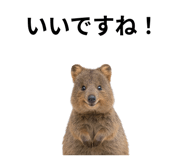 845374197