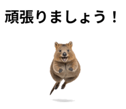 845374199