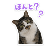 845376603