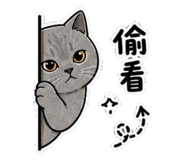 845376775