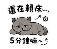 845376784