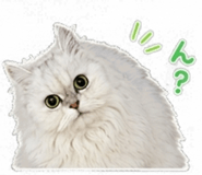 845376995