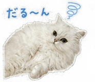845376999