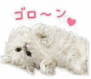 845377000