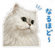 845377013