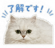 845377016