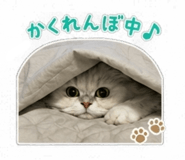 845377030