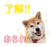845377049