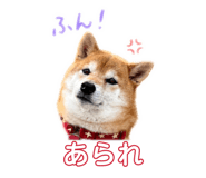845377050