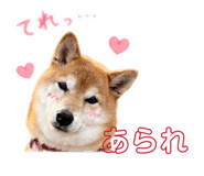 845377051