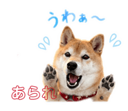 845377052