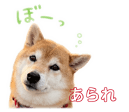 845377053