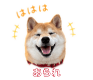 845377054