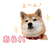 845377057