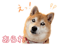 845377059