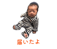 845379434