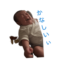 845379439