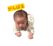 845379440