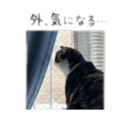 845379903