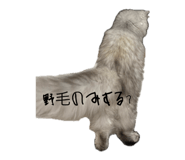 845380100