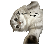 845380101