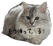 845380103