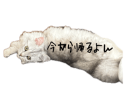 845380104