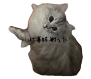 845380106